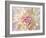 Dahlia Close Up I-Kathy Mahan-Framed Photographic Print