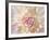 Dahlia Close Up I-Kathy Mahan-Framed Photographic Print