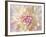 Dahlia Close Up I-Kathy Mahan-Framed Photographic Print