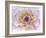 Dahlia Close Up III-Kathy Mahan-Framed Photographic Print