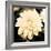 Dahlia Cream I-Joseph Eta-Framed Giclee Print