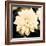 Dahlia Cream I-Joseph Eta-Framed Giclee Print