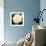 Dahlia Cream I-Joseph Eta-Framed Giclee Print displayed on a wall