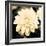 Dahlia Cream I-Joseph Eta-Framed Giclee Print