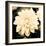 Dahlia Cream I-Joseph Eta-Framed Giclee Print