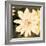 Dahlia Cream II-Joseph Eta-Framed Giclee Print