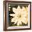 Dahlia Cream II-Joseph Eta-Framed Giclee Print