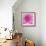 Dahlia Delight-Karen Ussery-Framed Giclee Print displayed on a wall