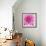 Dahlia Delight-Karen Ussery-Framed Giclee Print displayed on a wall