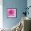 Dahlia Delight-Karen Ussery-Framed Giclee Print displayed on a wall