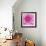 Dahlia Delight-Karen Ussery-Framed Giclee Print displayed on a wall