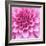 Dahlia Delight-Karen Ussery-Framed Giclee Print