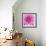 Dahlia Delight-Karen Ussery-Framed Giclee Print displayed on a wall