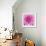 Dahlia Delight-Karen Ussery-Framed Giclee Print displayed on a wall