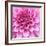 Dahlia Delight-Karen Ussery-Framed Giclee Print