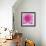 Dahlia Delight-Karen Ussery-Framed Giclee Print displayed on a wall