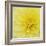 Dahlia Flower-Kaj Svensson-Framed Premium Photographic Print