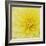 Dahlia Flower-Kaj Svensson-Framed Premium Photographic Print