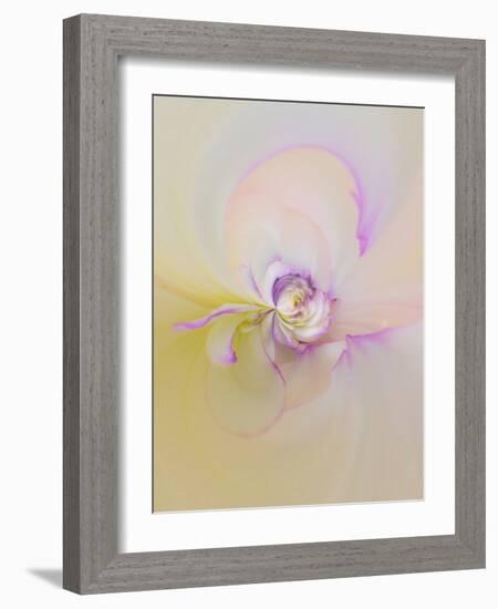 Dahlia Flowers, Birmingham, Alabama, Usa-Adam Jones-Framed Photographic Print