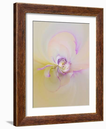 Dahlia Flowers, Birmingham, Alabama, Usa-Adam Jones-Framed Photographic Print
