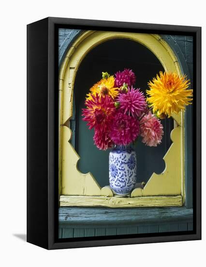 Dahlia Flowers in Vase, Ornate Window Frame, Bellingham, Washington, USA-Steve Satushek-Framed Premier Image Canvas