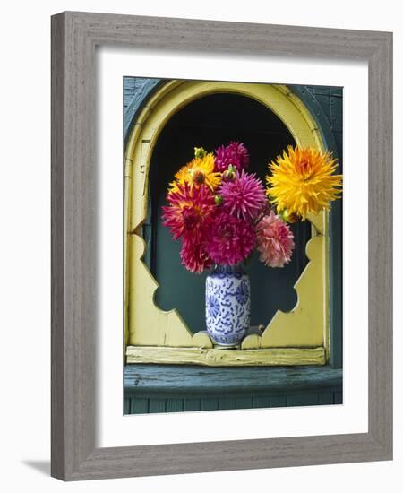 Dahlia Flowers in Vase, Ornate Window Frame, Bellingham, Washington, USA-Steve Satushek-Framed Photographic Print