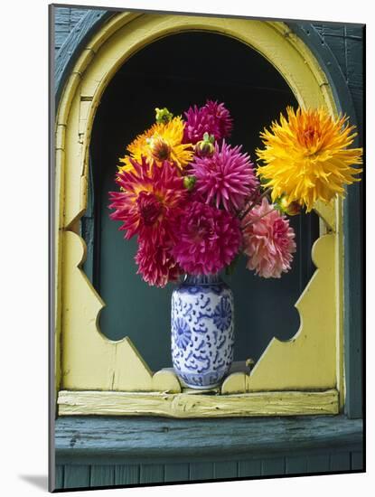 Dahlia Flowers in Vase, Ornate Window Frame, Bellingham, Washington, USA-Steve Satushek-Mounted Photographic Print