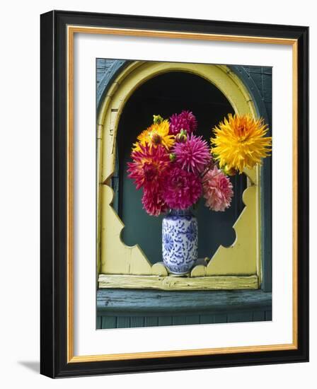 Dahlia Flowers in Vase, Ornate Window Frame, Bellingham, Washington, USA-Steve Satushek-Framed Photographic Print