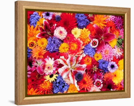 Dahlia, Oriental Lilies, Sunflower, Petunia, Zinnia, Hydrangea Bloom, Sammamish, Washington, USA-Darrell Gulin-Framed Premier Image Canvas