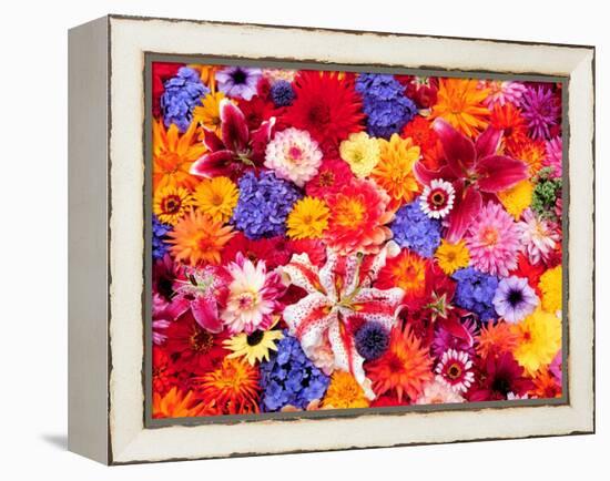 Dahlia, Oriental Lilies, Sunflower, Petunia, Zinnia, Hydrangea Bloom, Sammamish, Washington, USA-Darrell Gulin-Framed Premier Image Canvas