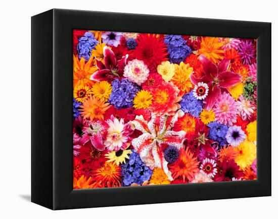 Dahlia, Oriental Lilies, Sunflower, Petunia, Zinnia, Hydrangea Bloom, Sammamish, Washington, USA-Darrell Gulin-Framed Premier Image Canvas