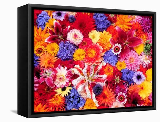 Dahlia, Oriental Lilies, Sunflower, Petunia, Zinnia, Hydrangea Bloom, Sammamish, Washington, USA-Darrell Gulin-Framed Premier Image Canvas