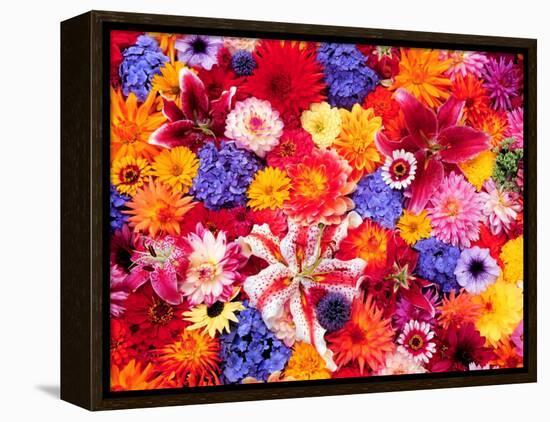 Dahlia, Oriental Lilies, Sunflower, Petunia, Zinnia, Hydrangea Bloom, Sammamish, Washington, USA-Darrell Gulin-Framed Premier Image Canvas