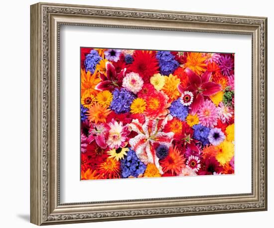 Dahlia, Oriental Lilies, Sunflower, Petunia, Zinnia, Hydrangea Bloom, Sammamish, Washington, USA-Darrell Gulin-Framed Photographic Print