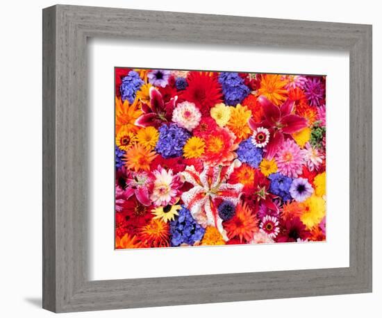 Dahlia, Oriental Lilies, Sunflower, Petunia, Zinnia, Hydrangea Bloom, Sammamish, Washington, USA-Darrell Gulin-Framed Photographic Print