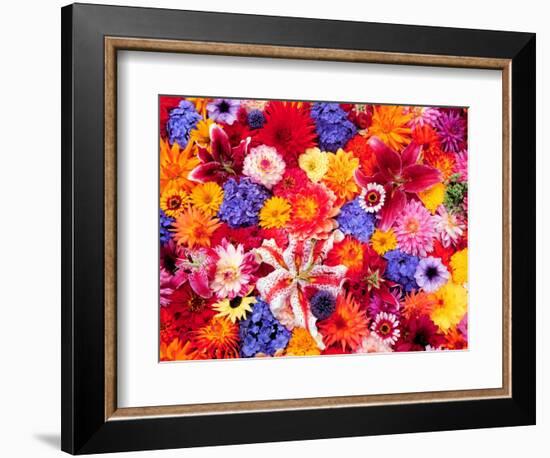 Dahlia, Oriental Lilies, Sunflower, Petunia, Zinnia, Hydrangea Bloom, Sammamish, Washington, USA-Darrell Gulin-Framed Photographic Print