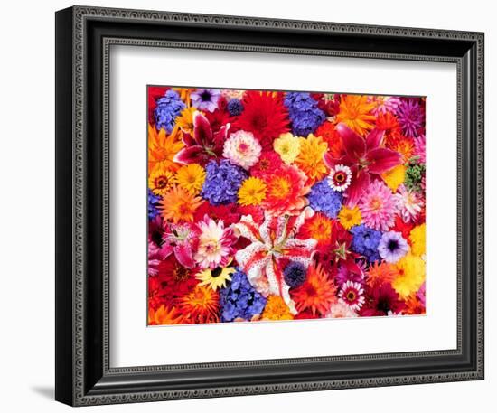 Dahlia, Oriental Lilies, Sunflower, Petunia, Zinnia, Hydrangea Bloom, Sammamish, Washington, USA-Darrell Gulin-Framed Photographic Print