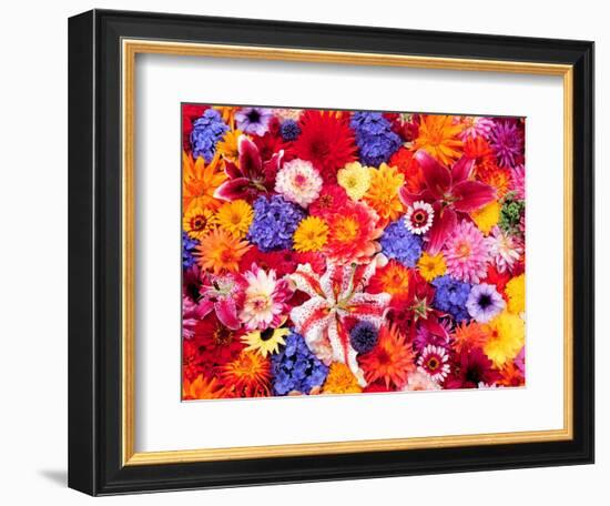 Dahlia, Oriental Lilies, Sunflower, Petunia, Zinnia, Hydrangea Bloom, Sammamish, Washington, USA-Darrell Gulin-Framed Photographic Print