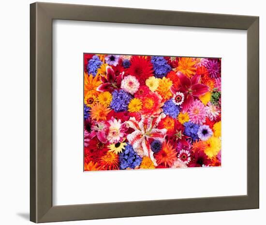 Dahlia, Oriental Lilies, Sunflower, Petunia, Zinnia, Hydrangea Bloom, Sammamish, Washington, USA-Darrell Gulin-Framed Photographic Print