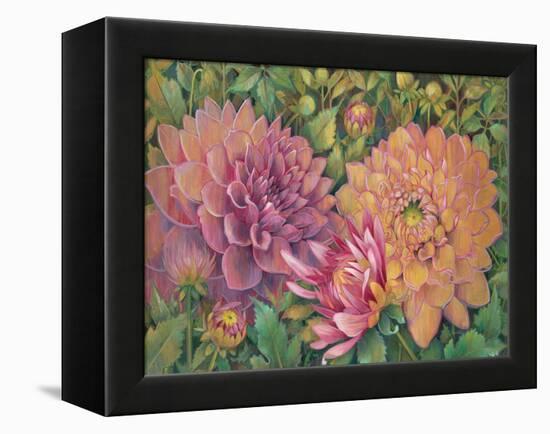 Dahlia Profile 1-Vera Hills-Framed Stretched Canvas