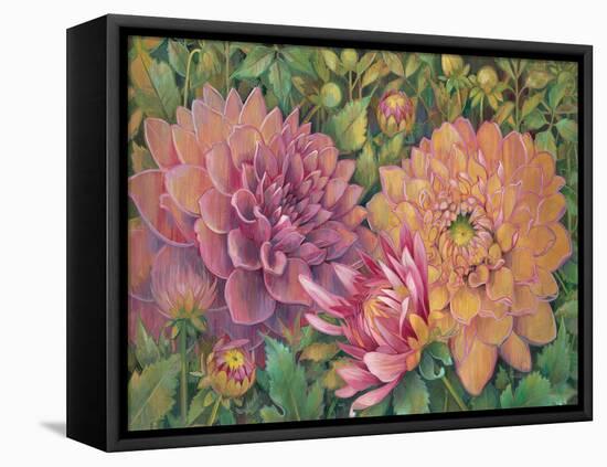 Dahlia Profile 1-Vera Hills-Framed Stretched Canvas