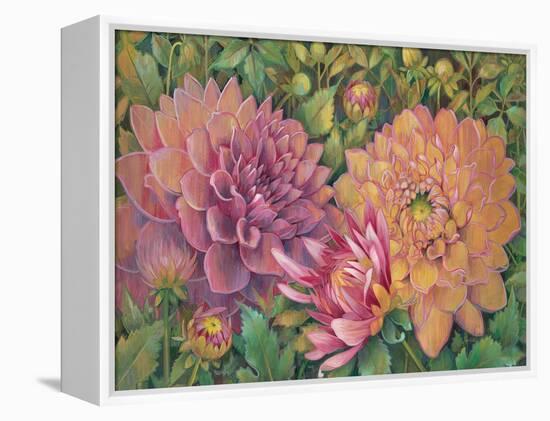 Dahlia Profile 1-Vera Hills-Framed Stretched Canvas