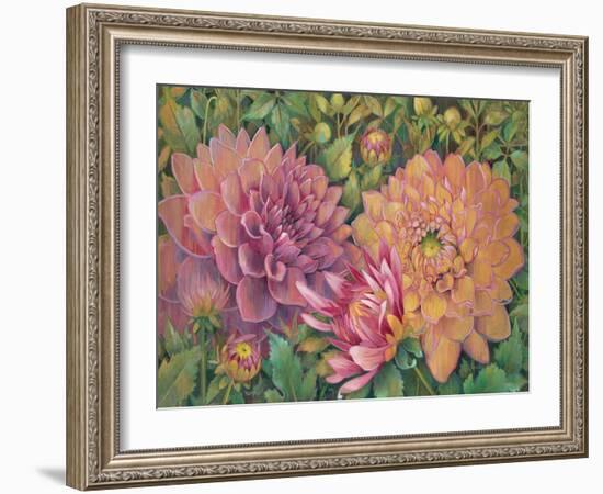 Dahlia Profile 1-Vera Hills-Framed Art Print