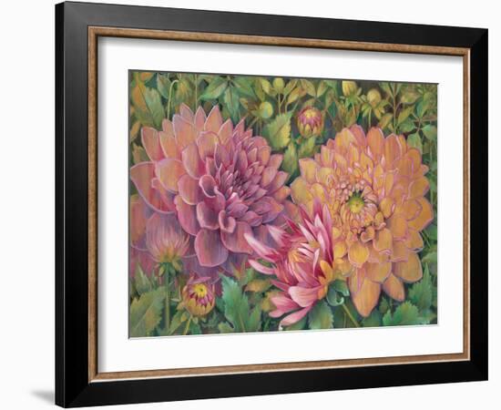 Dahlia Profile 1-Vera Hills-Framed Art Print