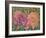 Dahlia Profile 1-Vera Hills-Framed Art Print