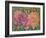 Dahlia Profile 1-Vera Hills-Framed Art Print