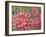 Dahlia Profile 2-Vera Hills-Framed Art Print