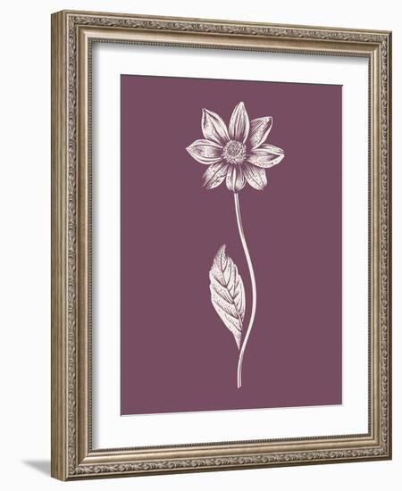 Dahlia Purple Flower-Jasmine Woods-Framed Art Print