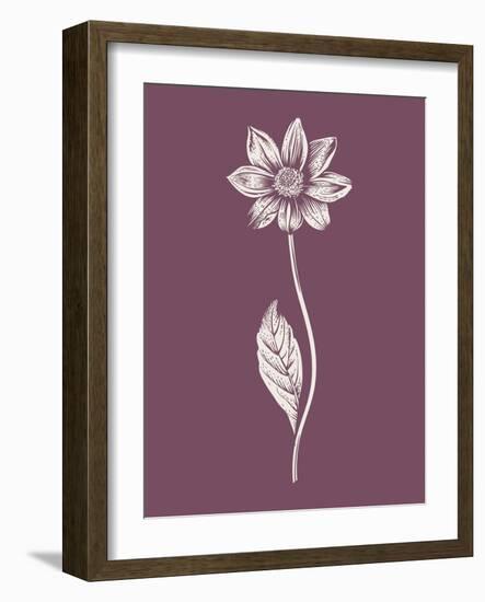 Dahlia Purple Flower-Jasmine Woods-Framed Art Print