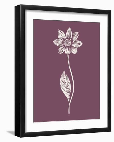 Dahlia Purple Flower-Jasmine Woods-Framed Art Print